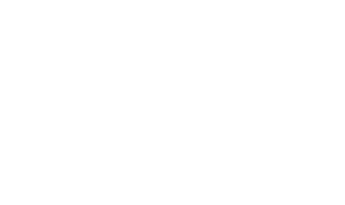 brand partner